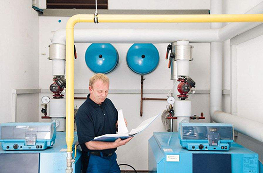 Prüfer mit den Dokumenten auf Hand