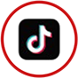 icon tiktok
