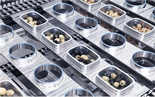 Fabrik der GRUNWALD GMBH